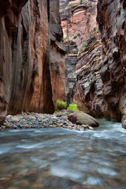 Utah, Zion Ulusal Parkı 'ndaki Virgin Nehri Dar Alanı' nda akıntı ve kaya yatay.