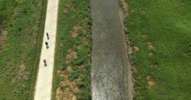 Yazın doğa yolu boyunca bir grup bisikletçinin havası.