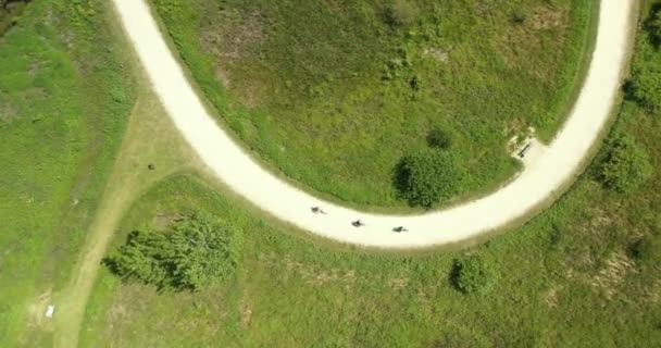 Yazın doğa yolu boyunca bir grup bisikletçinin havası. — Stok video