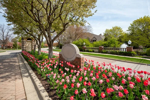 Bellissimo Ingresso Paesaggistico Diviso Con Fiori Alberi Pavimentazione Mattoni Conduce — Foto Stock