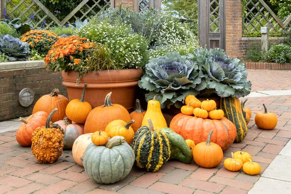 Assortment Pumpkins Gourds Plants Flower Pots Garden Setting — Stock Photo, Image