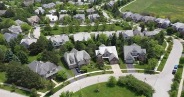 Ağaçlarla kaplı bir banliyö mahallesinin havadan görünüşü..