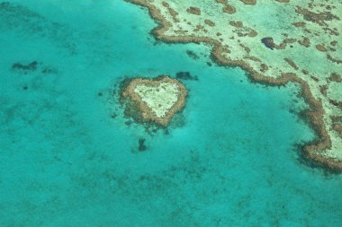 Heart Reef, Australia clipart