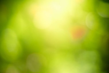 Soyut olarak, güneş ışığı altında Bokeh ile yeşil doğa yaprağının odak noktasını bulanıklaştırdı. Wallaper veya arkaplan için kullan.