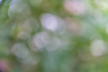 Bokeh bulanık arkaplan, yeşil bokeh arkaplan, yeşil bokeh, yeşil bokeh soyut
