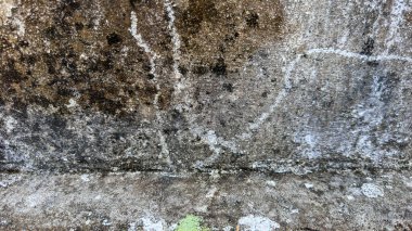Yıpranmış beton bir duvarın detaylı bir yakın çekimi beyaz liken, çatlaklar ve dokulu yüzeyi gösteriyor. Mimari ve çevresel temalar için uygun, yaşlı ve kırsal bir atmosferi doğal ışıklandırmayla aktarıyor..