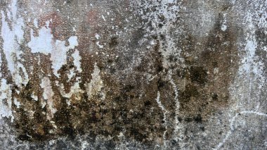 Paslanmış, soyulmuş, paslanmış ve desenli bir korozyonu gösteren eski ve endüstriyel bir görünüm yaratan, tasarım ve arka plan kullanımı için ideal bir metal yüzeyin detaylı bir yakın çekimi..