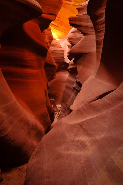 Canyon de l'antilope — Photo