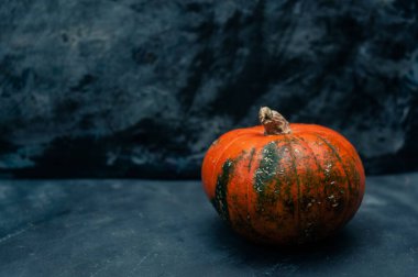 Koyu mavi desenli kopya alanı arka planında balkabağı kabağı Cadılar Bayramı konsepti