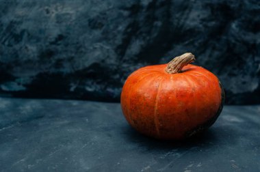 Koyu mavi desenli kopya alanı arka planında balkabağı kabağı Cadılar Bayramı konsepti