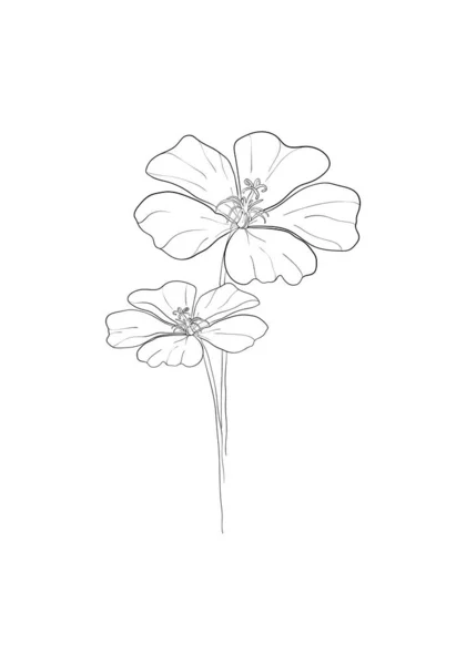 线条艺术 波比花卉简约的等高线画 在白色背景上设计线性艺术的一条线艺术品 花卉图案 — 图库照片