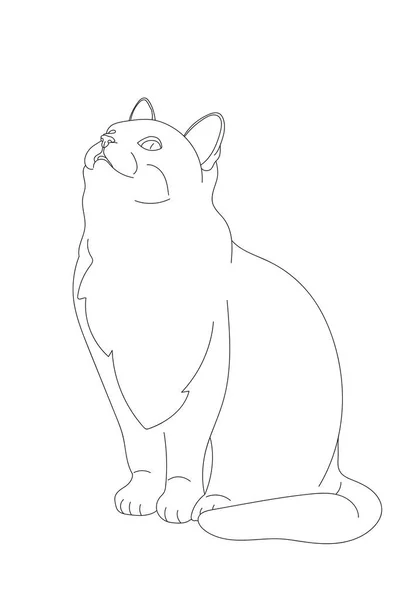 Illustration Design Outline Cat Cat Hand Drawn Icon Line Art — Stock Photo, Image