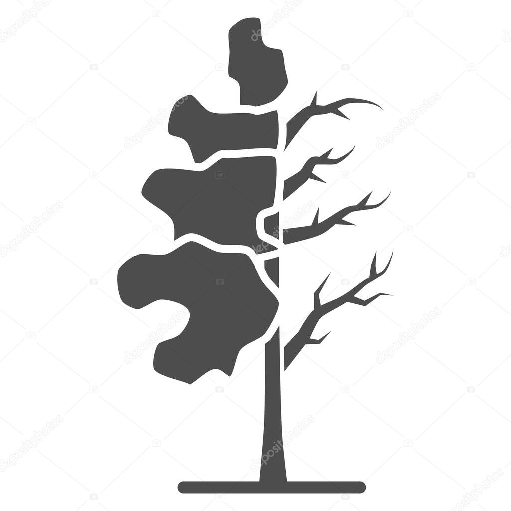 Tree half full of green leaf solid icon, changes depending on conditions concept, tree sign on white background, tree half dry icon in glyph style for mobile concept. Vector graphics.