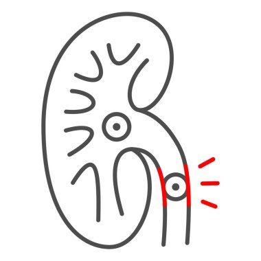 Böbrek taşları ince çizgi ikonu, insan hastalıkları konsepti, beyaz arka planda diyaliz işareti, mobil konsept ve web tasarımı için ana hatlı böbrek taşı ikonu tedavisi. Vektör grafikleri.