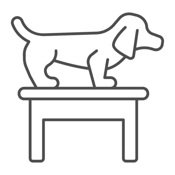 Hond op tafel dunne lijn pictogram, dier ziekenhuis concept, Dachshund staan op tafel op veterinair kantoor teken op witte achtergrond, huisdier karakter op tafel pictogram in omtrek stijl. vectorgrafieken. — Stockvector
