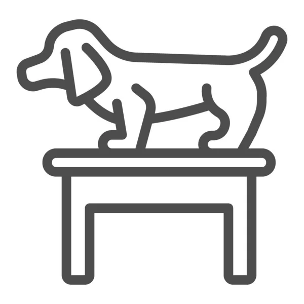 Perro en el icono de la línea de la mesa, concepto de hospital animal, Dachshund de pie en la mesa en la oficina veterinaria signo sobre fondo blanco, personaje de la mascota en el icono de la mesa en el estilo del esquema. Gráficos vectoriales. — Vector de stock