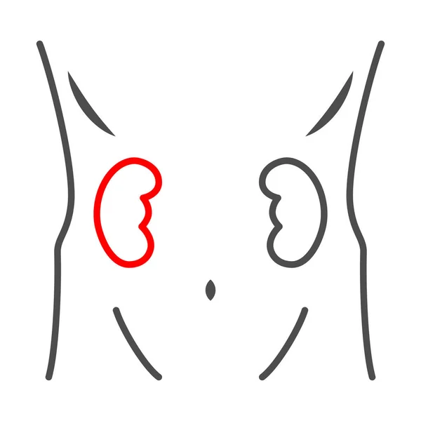 Riñón duele icono de línea delgada, concepto de dolor corporal, enfermedad renal signo vectorial sobre fondo blanco, icono de estilo de esquema para el concepto móvil y diseño web. Gráficos vectoriales. — Archivo Imágenes Vectoriales