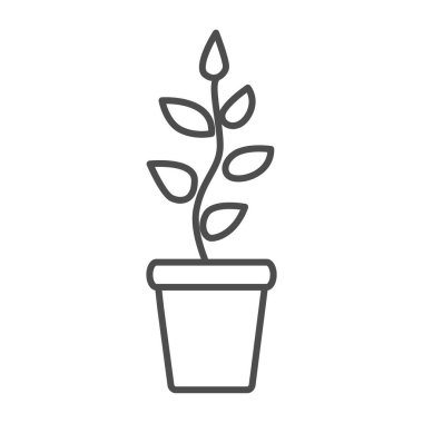 Yapraklı bitki, saksı ince çizgi ikonunda fidanlar, bahçıvanlık konsepti, beyaz arka planda büyüyen bitki vektör işareti, mobil konsept ve web tasarımı için taslak tarzı simge. Vektör grafikleri.