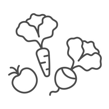 Sebzeler, pancar kökü, havuç ve ince domates çizgisi ikonu, bahçıvanlık konsepti, arka planda sebze vektör işareti, mobil konsept ve web tasarımı için taslak tarzı ikon. Vektör grafikleri.