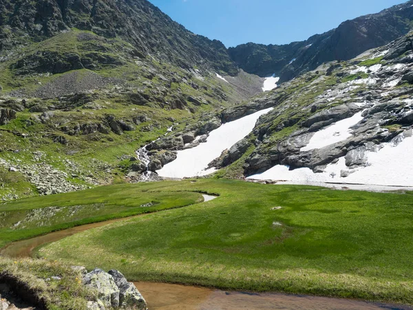 Schöne Feuchtgebiete ab Frühling, schmelzendes Eis und Schnee, alpine Bergwiese namens Paradies mit sattgrünem Gras und Blumen. Stubaier Wanderweg, Sommer Tiroler Alpen, Österreich — Stockfoto