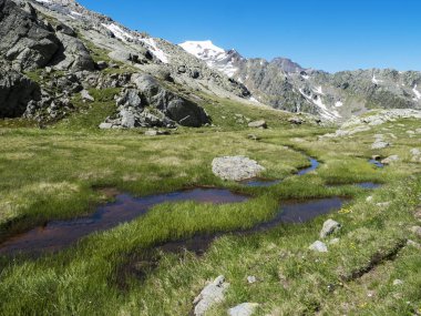 İlkbahardan beri güzel sulak alanlar, eriyen buz ve kar, yemyeşil çimenler ve çiçekli Paradis denilen dağ çayırları. Stubai yürüyüş parkuru, Yaz Alpleri, Avusturya
