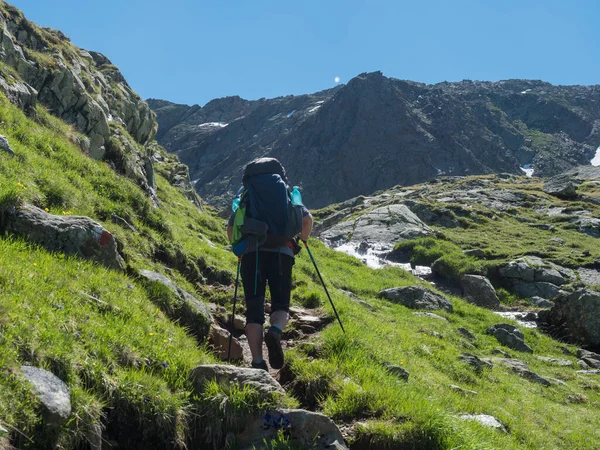 Senderista solitario con mochila pesada en el sendero Stubai, Stubai Hohenweg en el verde valle alpino de montaña de verano con arroyo de primavera. Tirol, Alpes austríacos — Foto de Stock