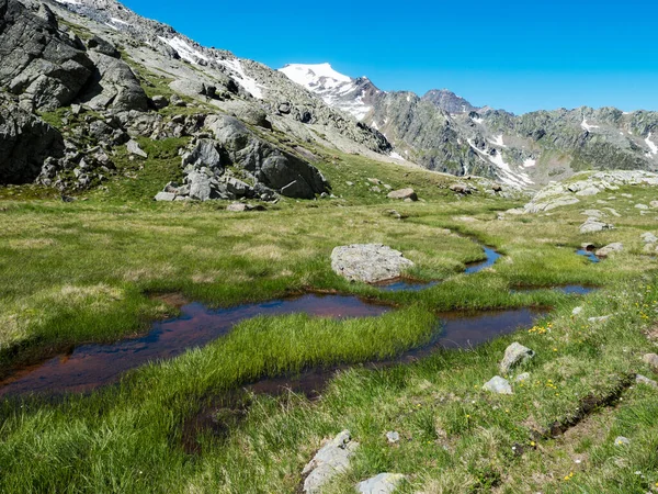 Όμορφος υδροβιότοπος από την άνοιξη, λιώσιμο πάγου και χιονιού, αλπικό ορεινό λιβάδι που ονομάζεται Παραδιές με πλούσιο πράσινο γρασίδι και λουλούδια. Μονοπάτι πεζοπορίας Stubai, Summer Tyrol Alps, Αυστρία — Φωτογραφία Αρχείου