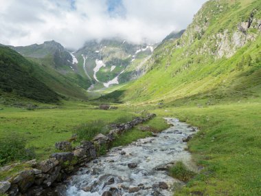 view on Stubaital Valley and alpine meadow with river stream and grazing cows, Alpine landscape of Tirol Alps, Austria. Summer