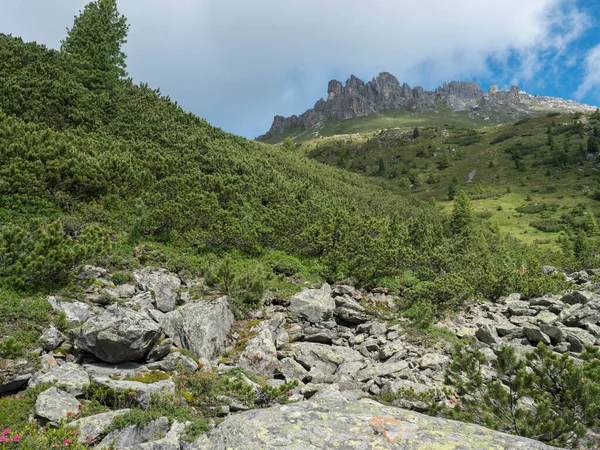 Kilátás mészkő hegycsúcsok és fenyőfák Stubai Hohenweg, alpesi táj Tirol Alpok, Ausztria. Nyári kék ég, fehér felhők — Stock Fotó