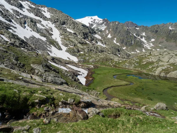 Widok z góry piękne tereny podmokłe z strumieniem wiosny, łąka górska alpejska o nazwie Paradies z bujną zieloną trawą i ośnieżone szczyty górskie. Szlak turystyczny Stubai, Alpy Tyrolskie, Austria — Zdjęcie stockowe