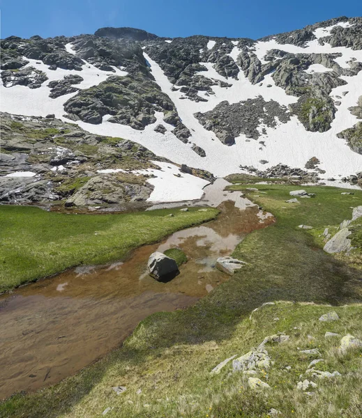 Belle zone humide du printemps, fonte de la glace et de la neige, prairie de montagne alpine appelée Paradies avec herbe verte luxuriante et ciel bleu. Sentier de randonnée Stubai, Alpes du Tyrol, Autriche — Photo