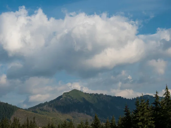 Vista sobre la colina Chopok en las montañas Low Tatras de Demanovska dolina, Jasna, Eslovaquia, día nublado de verano — Foto de Stock