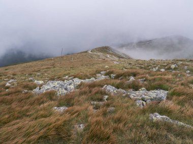 Dağ çayırı manzarası, neredeyse sıfır görüş mesafesi olan tehlikeli yoğun siste yürüyüş patikaları olan otlak tepeler. Alçak Tatras dağları sırtı, Slovakya, yaz sonu rüzgarlı gün