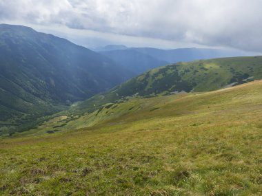 Chopok 'tan Slovakya' daki Low Tatras Dağları Doğa Parkı 'ndaki dağ çayırlarına kadar uzanan çimenli tepe yamaçlarından manzara. bulutlu yaz günü