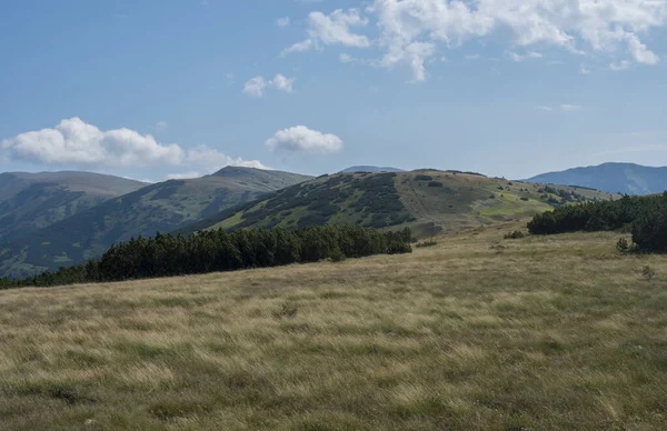 Wanderweg vom Bergrücken Chopok mit Bergwiese, Kiefernwald und Aussicht auf den Bergrücken der blauen grünen Hügel. Landschaft der Niederen Tatra, Slowakei, Sommer sonniger Tag, blauer Himmel Hintergrund — Stockfoto