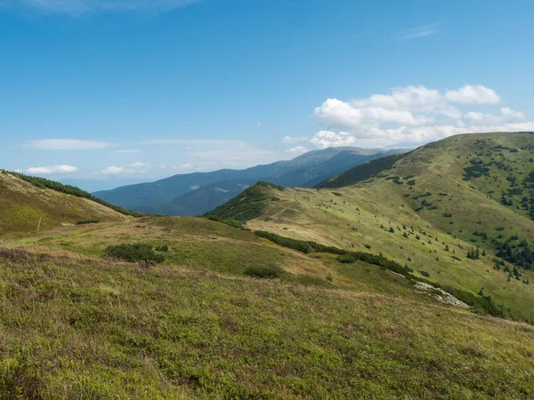Grassy verdi colline e pendii a cresta di montagne Basso Tatra con sentiero escursionistico, prato di montagna, e macchia di pino, Slovacchia, giornata estiva soleggiata, sfondo cielo blu — Foto Stock
