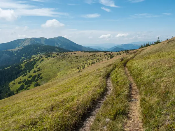 Grassy verdes colinas y laderas en la cresta de las montañas de Tatras Baja con sendero sendero, prado de montaña, y matorral de pino, Eslovaquia, verano día soleado, fondo cielo azul — Foto de Stock