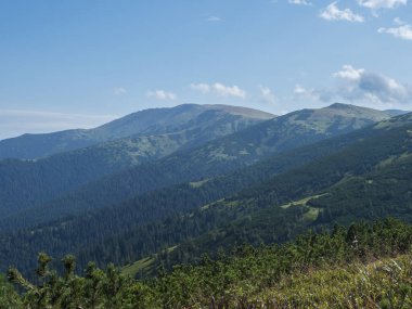 Alçak Tatras dağlarının eteklerinden, dağ çayırlarıyla yürüyüş parkurlarından, çam ağaçlarından, yeşil tepelerden ve yamaçlardan manzara. Slovakya, yaz güneşli gün, mavi gökyüzü arka plan