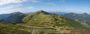 Çimenli yeşil tepelerin geniş manzarası ve alçak Tatras dağlarının yamaçlarında yürüyüş patikaları, dağ çayırları ve çam çalıları, Slovakya, yaz güneşli günü, mavi gökyüzü arka planı