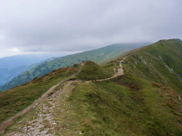 Chopok 'tan dağ çayırına kadar yürüyüş patikası, yoğun sis ve bulutlarla dolu çimenli tepe yamaçları. Alçak Tatras dağları sırtı, Slovakya, yaz sonu rüzgarlı gün — Stok fotoğraf