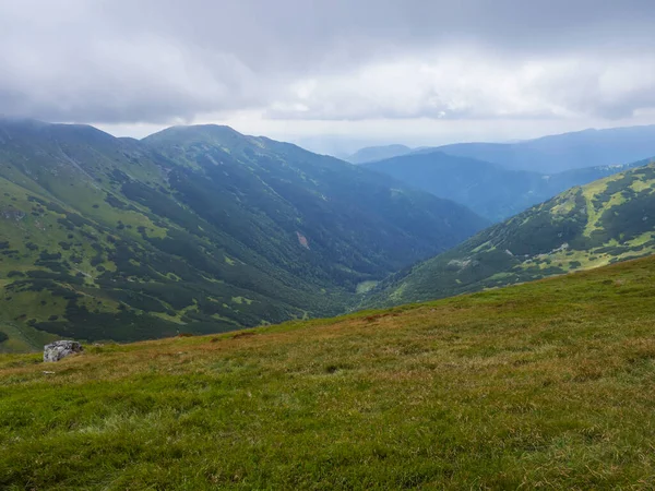 Chopok 'tan Slovakya' daki Low Tatras Dağları Doğa Parkı 'ndaki dağ çayırlarına kadar uzanan çimenli tepe yamaçlarından manzara. bulutlu yaz günü — Stok fotoğraf