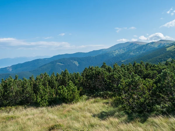 Vista dalla cresta dei monti Basso Tatra, sentiero escursionistico con prato di montagna, pini e verdi colline erbose e pendii. Slovacchia, giornata estiva soleggiata, sfondo cielo blu — Foto Stock