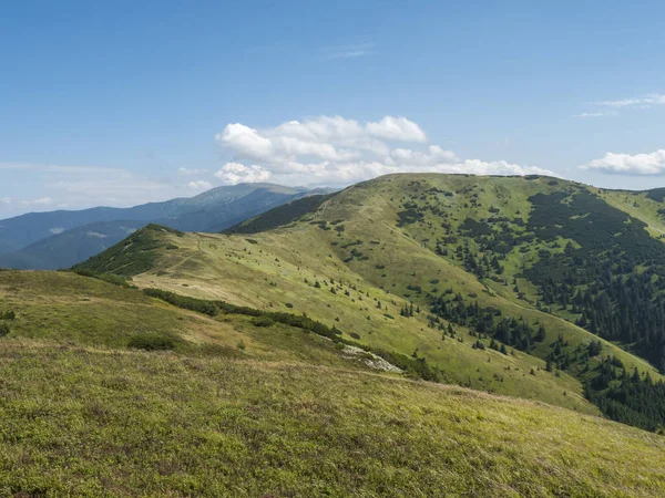 Grassy verdes colinas y laderas en la cresta de las montañas de Tatras Baja con sendero sendero, prado de montaña, y matorral de pino, Eslovaquia, verano día soleado, fondo cielo azul — Foto de Stock