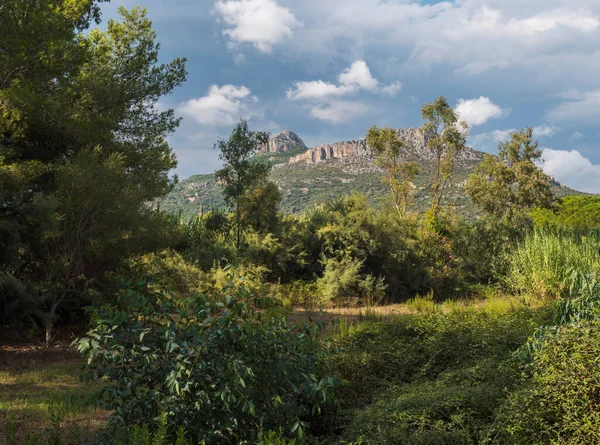 Lush green vegetation forest with view of limestone rock Monte Oro and mountains in region of Ogliastra, Baunei Sardinia, Italy, summer. — Stock Photo, Image