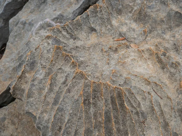 Close up of beige limestone rock with shape and texture which looks like mountain ridge folding — Stock Photo, Image