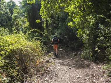 Gola Su Gorropu vadisine yürüyüş parkurundaki insan yürüyüşçüleri ve Akdeniz bitkileri olan Supramonte Dağları 'nın yeşil orman manzarası, Nuoro, Sardinya, İtalya. Yaz