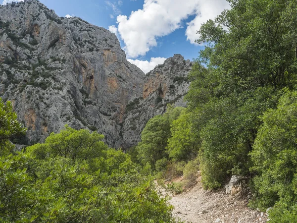 Μονοπάτι πεζοπορίας προς το φαράγγι Gola Su Gorropu και καταπράσινο δασικό τοπίο των βουνών Supramonte με ασβεστολιθικό βράχο και μεσογειακή βλάστηση, Nuoro, Σαρδηνία, Ιταλία. Καλοκαίρι συννεφιά — Φωτογραφία Αρχείου