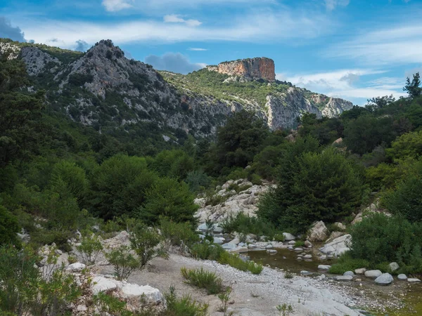 Άποψη του ξηρού ποταμού flumineddu σε πεζοπορική διαδρομή προς το φαράγγι Gola Su Gorropu και το καταπράσινο δασικό τοπίο των βουνών Supramonte με ασβεστολιθικό βράχο και μεσογειακή βλάστηση, Nuoro, Σαρδηνία, Ιταλία — Φωτογραφία Αρχείου