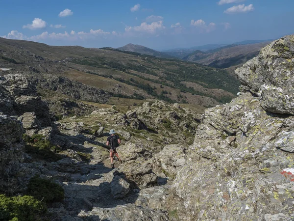 Einsamer Wanderer am Gennargentu, dem höchsten Berg Sardiniens, Nuoro, Italien. Vaste Gipfel, trockene Ebenen und Täler mit mediterraner Vegetation. Spätsommer, blauer Himmel — Stockfoto