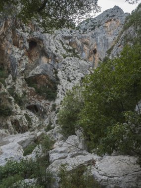 Gola Su Gorropu vadisindeki kireçtaşı kayalıklarda yeşil çalı ve ağaçlarla dolu mağaralar. Supramonte Dağları, Nuoro, Sardinya, İtalya 'da ünlü turist yürüyüş merkezleri. Yaz.